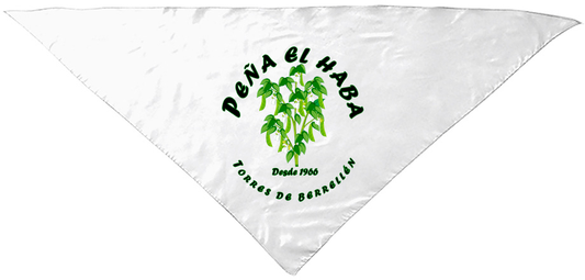 P2024 PAÑUELO DE CUELLO LA HABA - DF CREACION