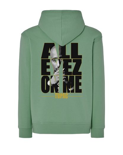 JD2003 SUDADERA CON CAPUCHA SERIE 290