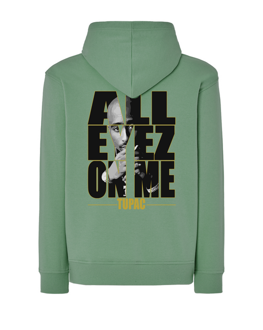 JD2003 SUDADERA CON CAPUCHA SERIE 290