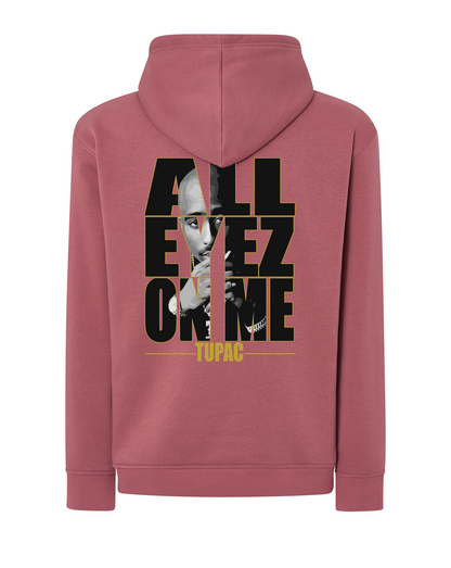 JD2003 SUDADERA CON CAPUCHA SERIE 290