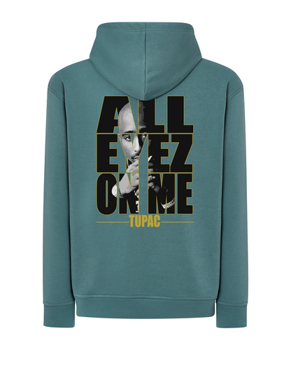 JD2003 SUDADERA CON CAPUCHA SERIE 290